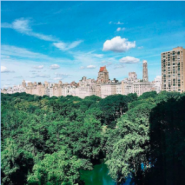 Ritz-Carlton Instagram of Central Park hotel