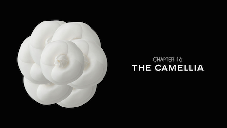 Online's not black and white. Image courtesy Chanel's Camellia film 2016