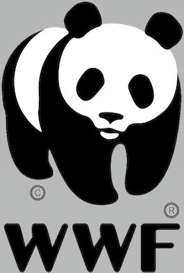 The WWF logo, in its reductive form, has done more for panda awareness than any icon for an animal worldwide. Image courtesy of dewebsite.org. Copyright WWF