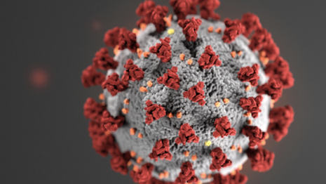 The COVID-19 coronavirus cell. Image credit: U.S. Centers for Disease Control