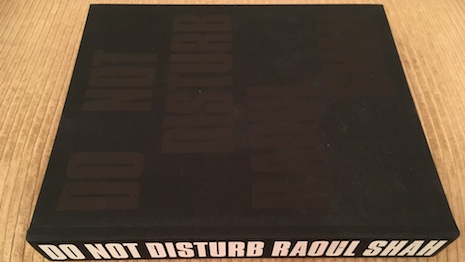 "Do Not Disturb," by Raoul Shah